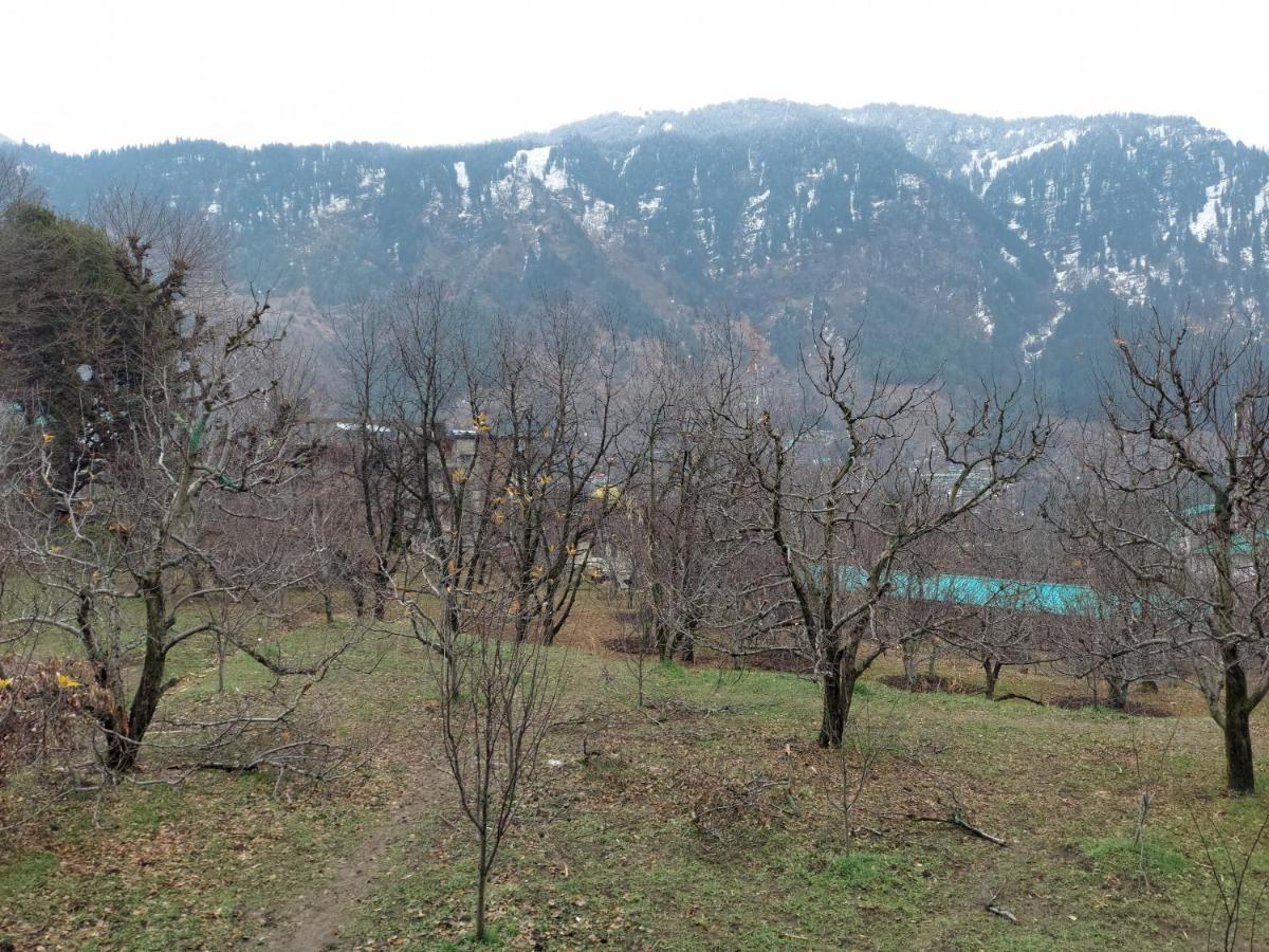 The Professors Hut Guest house *